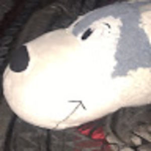 Meet your Posher, Tony